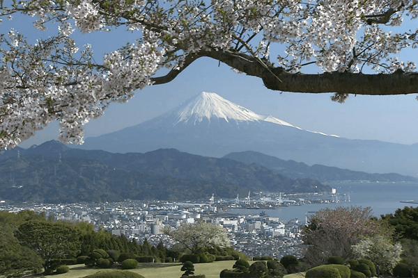 171-wagaya-600×400